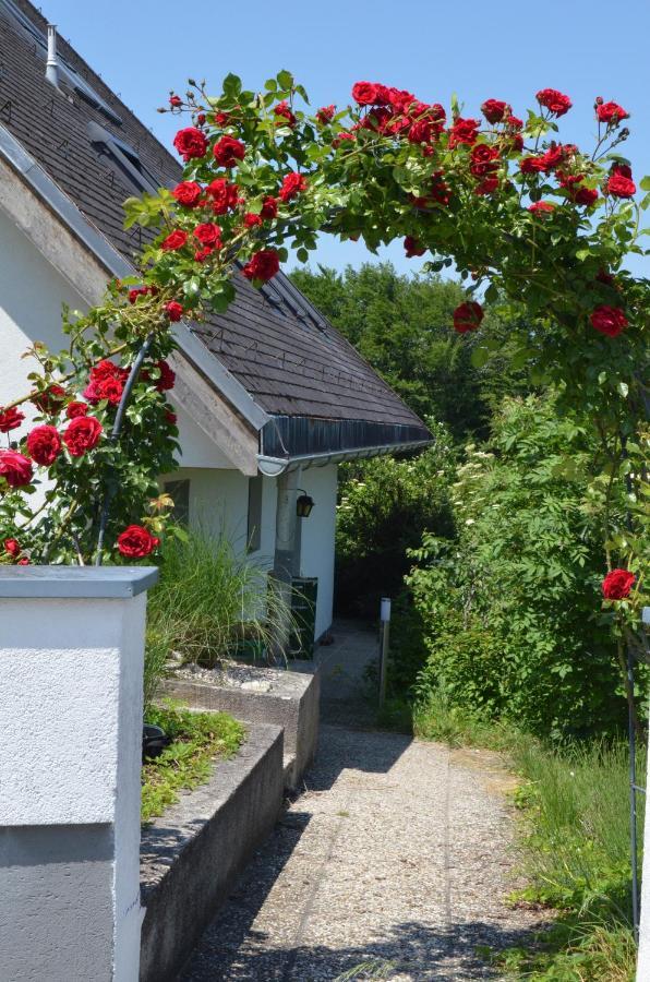 Aschach an der Steyr Ferienwohnung Familie Hofmann מראה חיצוני תמונה